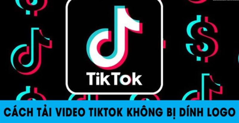 tải video TikTok về máy tính